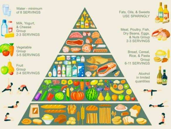 Tell Us About Your Dream Food Pyramid