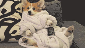 You know, just chillin'