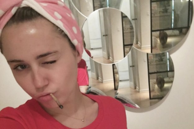 See the Transformations that Miley Cyrus has Gone Through in Her Career