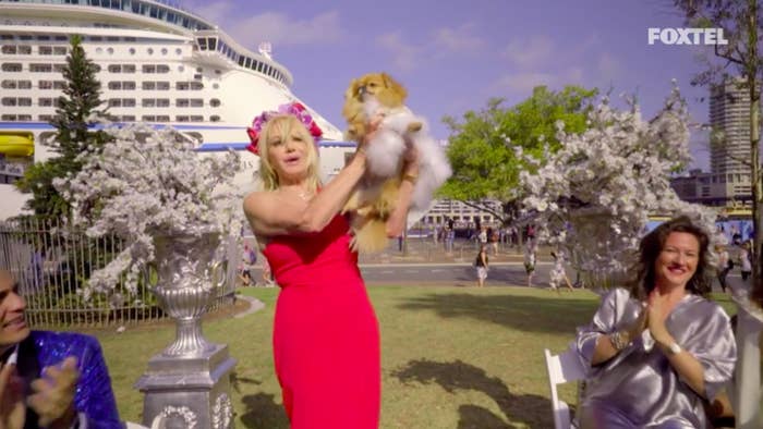 A Cat And Dog Got Married On Real Housewives Of Sydney To