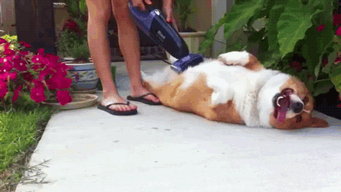 *vacuums shower*