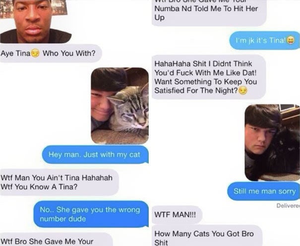 Wrong Number Cat Memes I’m Not Wrong : Memes