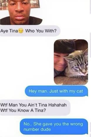 Number Incorrect Meme Wrong Number Cat Memes I’m Not Wrong : Memes