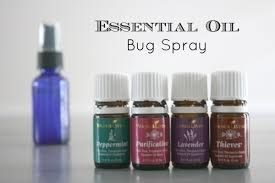 Moms will not need to worry now because they can create their own outdoor bug spray to keep bugs and insects at bay while kids are playing outside. All they have to do is to combine 2 ounces of water with 1 ½ ounces of witch hazel essential oil, 1 tsp. Vegetable glycerine, 5 drops cedarwood oil, 15 drops of citronella oil, and 5 drops of eucalyptus oil. And then, put the solution in a spray bottle. Shake well. To use, spray evenly onto the exposed parts of the skin. Rub as needed.