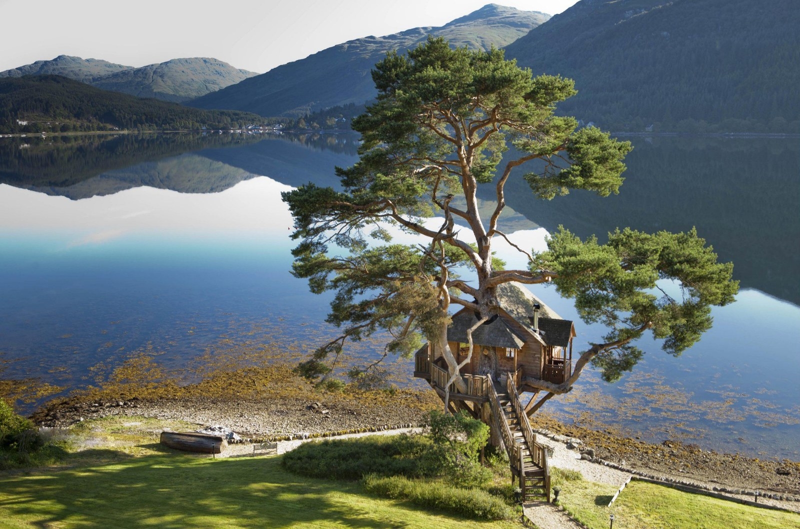 7 Insane Scottish Tree Houses That Look Like Something Out Of A Fantasy Novel image