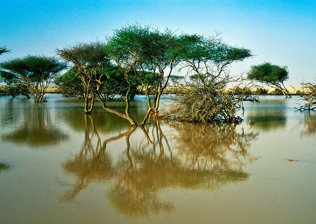 Hiking, trekking and camping enthusiasts will also have a plethora of options when it comes to outdoor adventures among the natural landscapes of Qatar. The Al Thakhira coast is a popular stopover among bird watching enthusiasts as the coast's mangroves are occupied by a large number of winged beauties. Khor Al Adaid with its tidal lake and lagoon is also worthy of exploration in addition to Ras Abrouq and Al Reem.