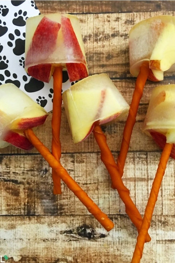 A  Summer Favourite: Chicken And Apple Pupsicles