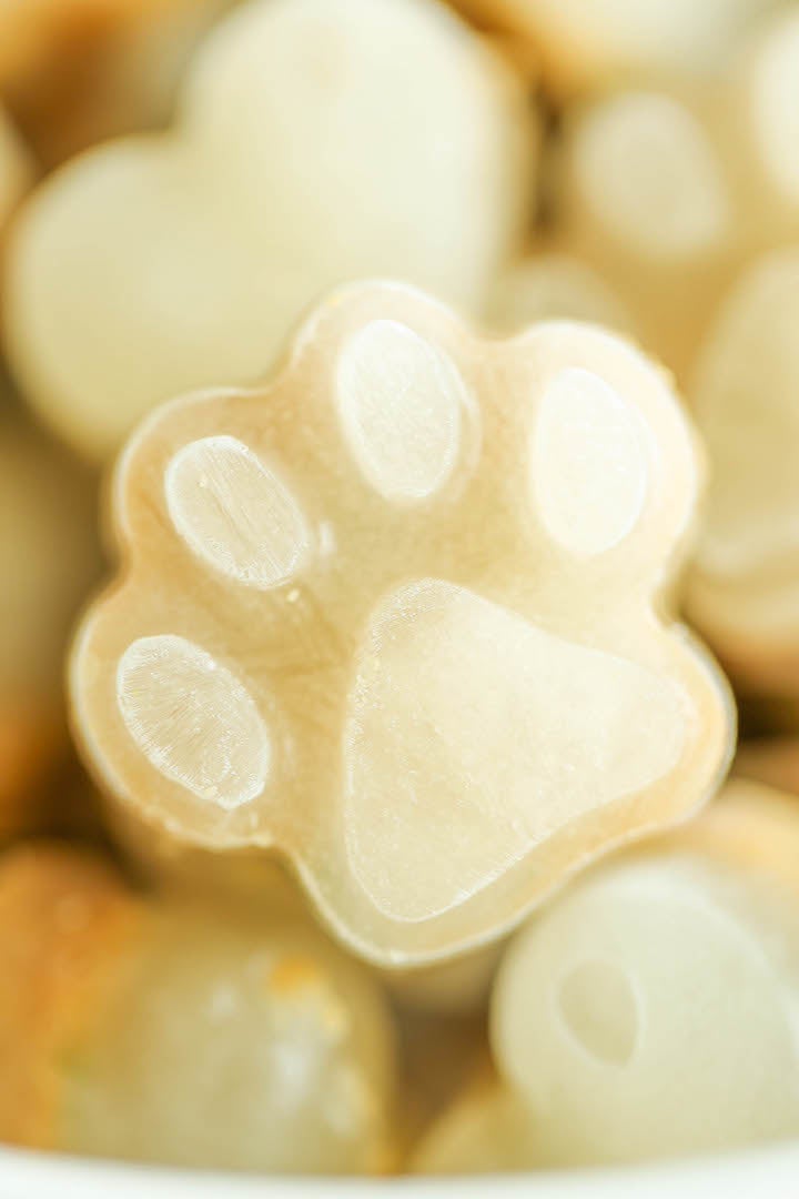 Gourmet Pet Treats, Nutritious and Easy DIY Popsicle Dog Recipe