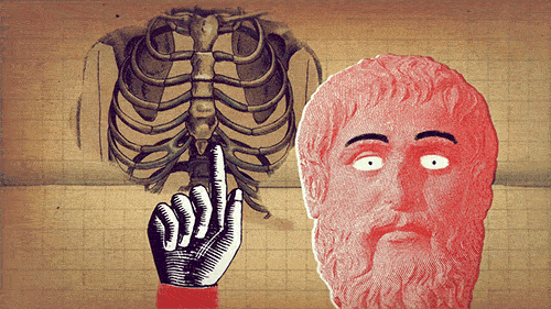 We're guessing you had to use BrainyQuotes to memorize them, too.