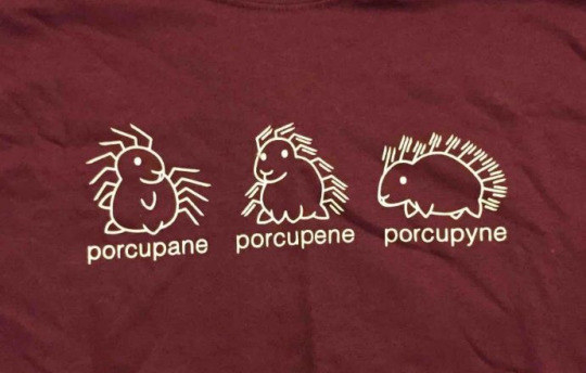 different spellings and illustration of porcupine