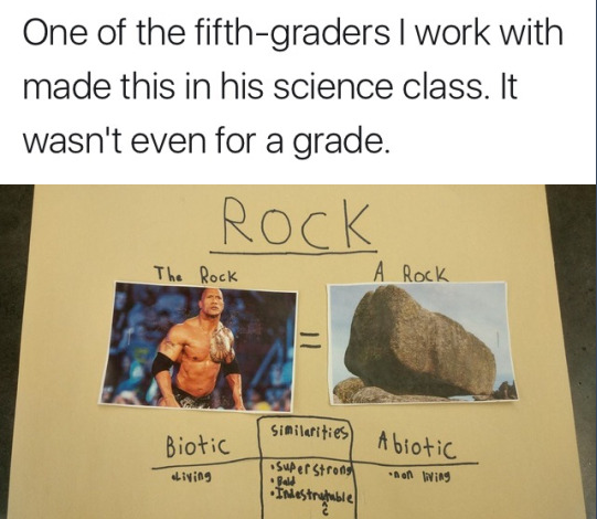 a comparison of The Rock and a rock