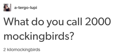 what do you call 2000 mockingbirds? 2 kilmockingbirds