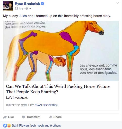 The Bizarre Story Of What Happened After The Internet Decided This Picture  Of A Horse Was Porn