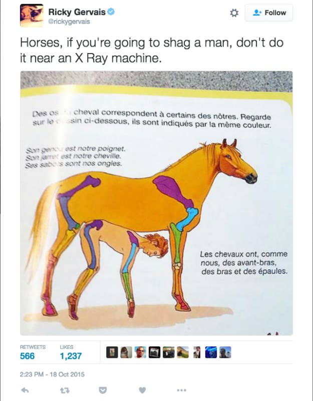The Bizarre Story Of What Happened After The Internet Decided This Picture  Of A Horse Was Porn