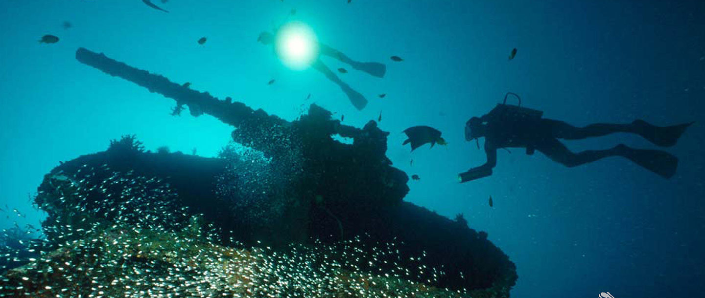 Yes, there are even wrecks of tanks to be found underwater off Pasikudah.