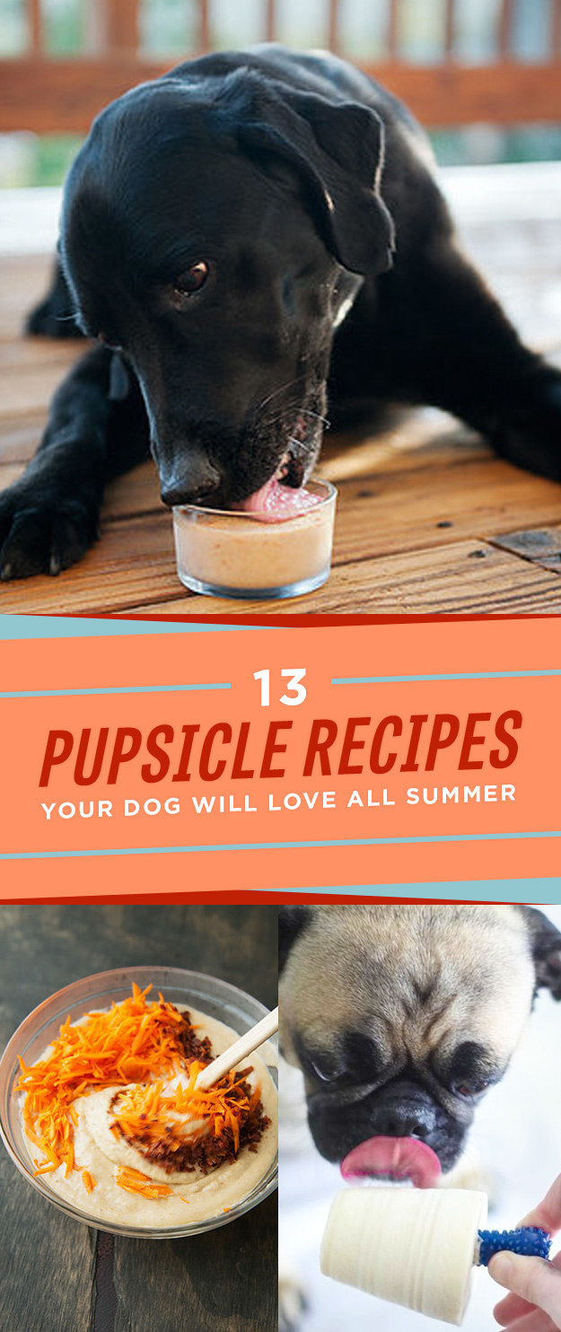 Worried About Keeping Your Pet Cool This Summer? This Is A Must Try Pupsicle  Recipe
