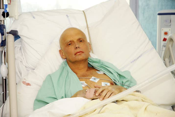 Alexander Litvinenko on his deathbed
