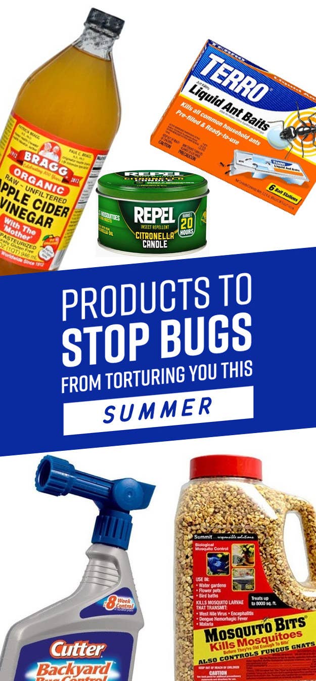 16 Things That Ll Stop Bugs From Torturing You This Summer