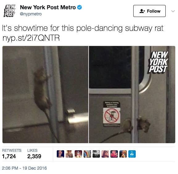 17 Things Literally No One Tells You About Living In Nyc