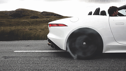 "It's more specifically the way cars sound, though there are definitely some sexy looking cars. A deep growling car/truck really sends a chill down my spine, makes my scalp tingle, or stops me mid-sentence if I'm talking to someone. It happens every day, especially when I'm driving."—25/Female/Heteroflexible