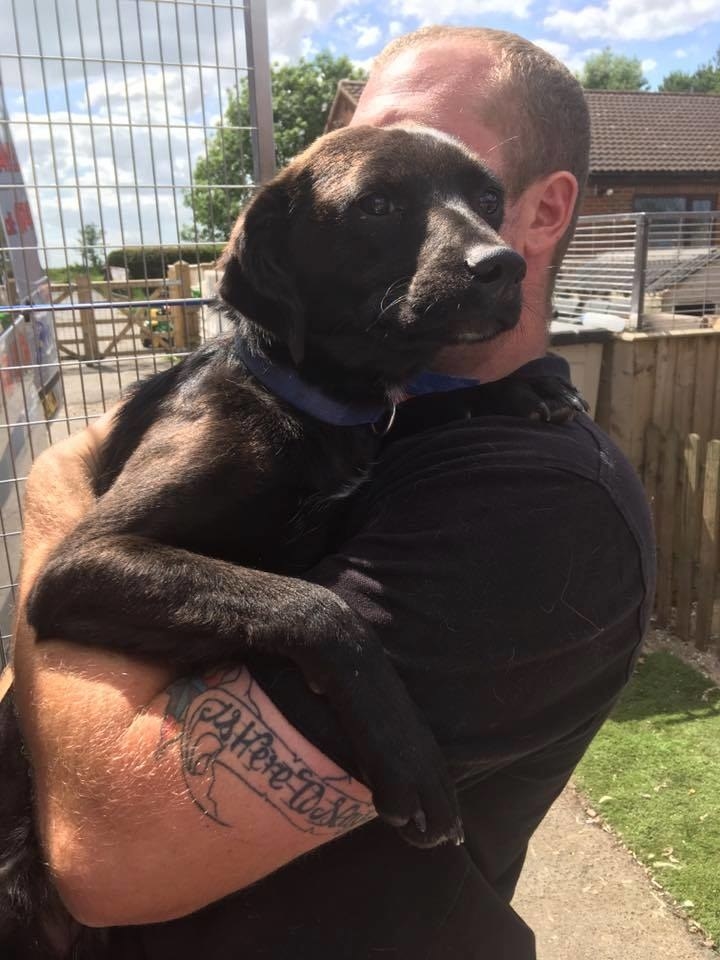 That's one happy pup!!
