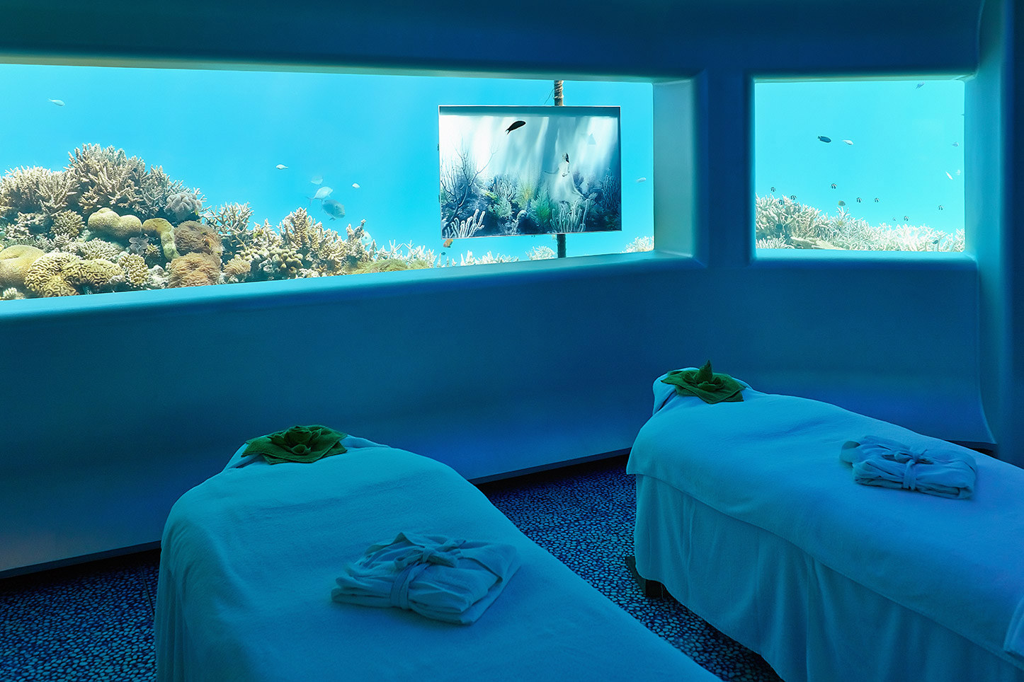 This is probably one of the most romantic experiences available on Earth.
