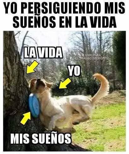 18 Memes Que Te Haran Decir Yo En La Vida