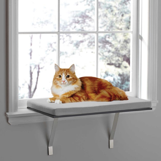 A window seat perch so your cat has the best seat in the house. Get it? Best seat in the HOUSE? I'm not funny, I know.