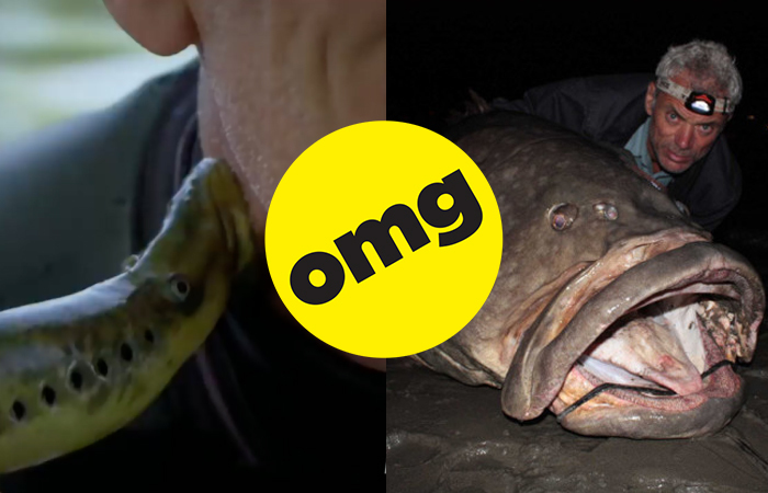 River Monsters' Is the Best Fishing Show and It's Not Even Close