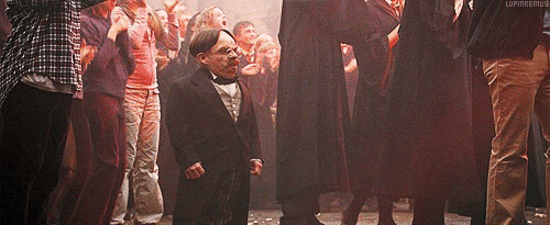 Because Sprout and Flitwick were Heads of House for Hufflepuff and Ravenclaw, this information is contained within those two editions: "Professor Sprout had a long-term relationship with fellow teacher Professor Flitwick. Sadly it didn’t work out but they remain friends."
