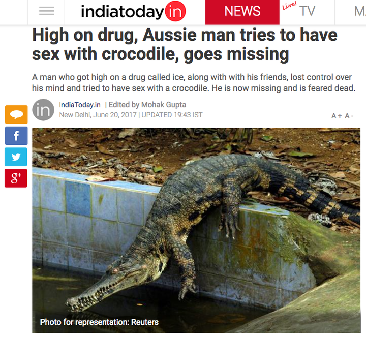 Crocodile Sex Fucking - Look, A Dude Did Not Die After Smoking Meth And Having Sex With A ...