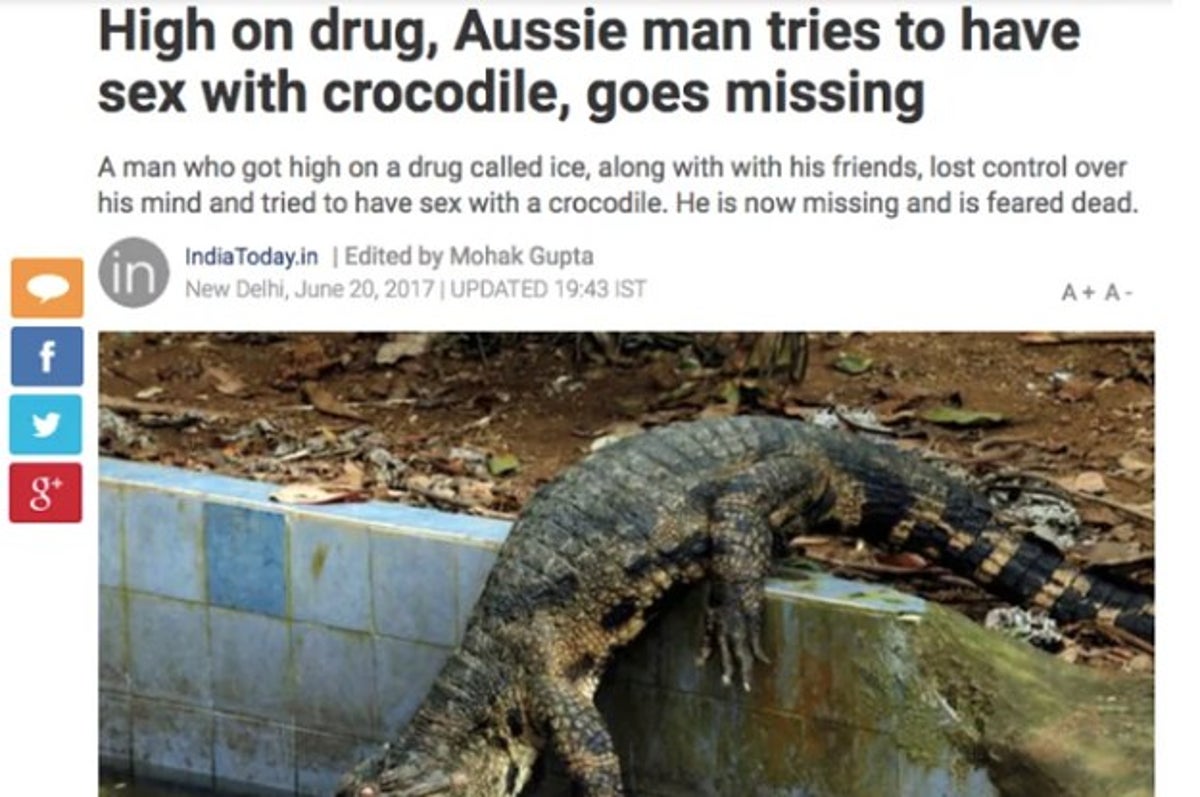 Look A Dude Did Not Die After Smoking Meth And Having Sex With A Crocodile