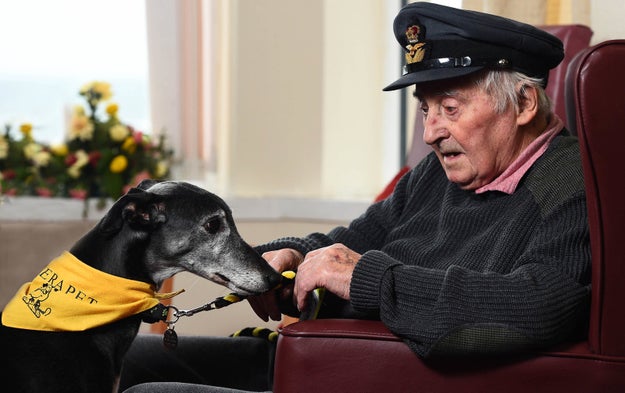 This very helpful doggo who helps military veterans with dementia.