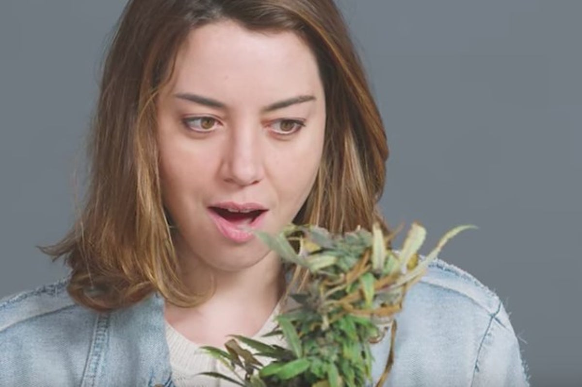 Aubrey Plaza Got High With Some Weed Nuns And It's Iconic AF