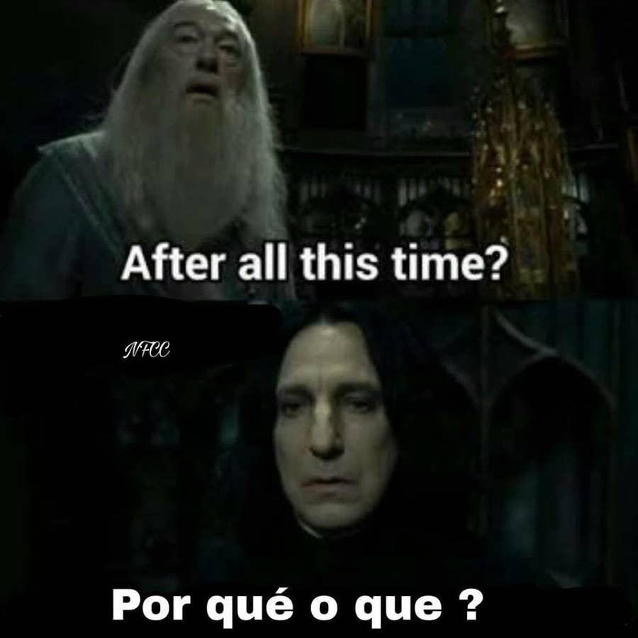 La Gente Esta Convirtiendo Sus Conversaciones De Whatsapp En Memes De Harry Potter varios grupos felix disfrutaba de su recien hecha relacion junto a changbin. whatsapp en memes de harry potter