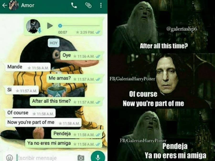La Gente Esta Convirtiendo Sus Conversaciones De Whatsapp En Memes De Harry Potter