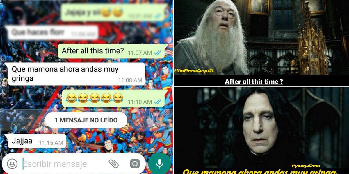 La Gente Esta Convirtiendo Sus Conversaciones De Whatsapp En Memes De Harry Potter