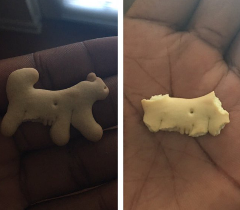 And eating the limbs of your animal crackers first makes them taste better.