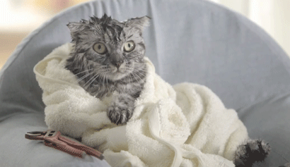 C'était particulièrement un gros problème en hiver, quand vous vouliez juste sortir de la maison après une douche, comme avant. Vous vous êtes rendue compte qu'il vous fallait vous sécher les cheveux loooongtemps.