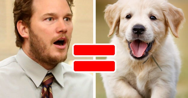 犬種診断 あなたの前前前世が犬だったら