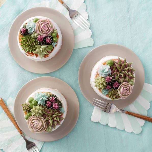 One succulent cake for you, and one for you, and one for you.