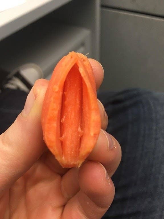 A baby carrot that's naturally split open 