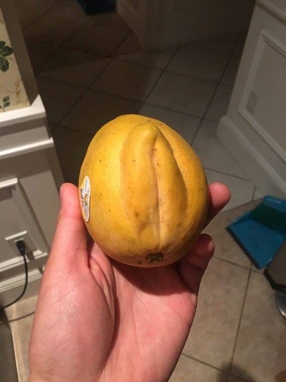 A mango with bulging folds on one side