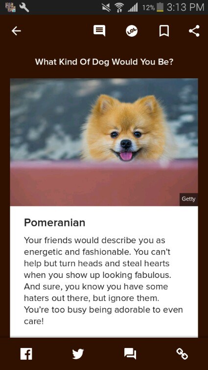 buzzfeed what kind of dog