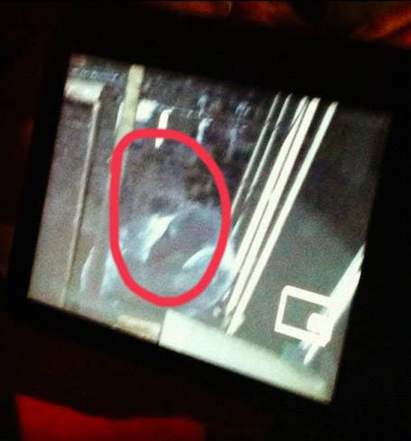 "This was taken in a pre-Civil War house. After noticing a bunch of stuff going on, we ventured to the basement. This is a picture from one of our cameras."—bethanyp