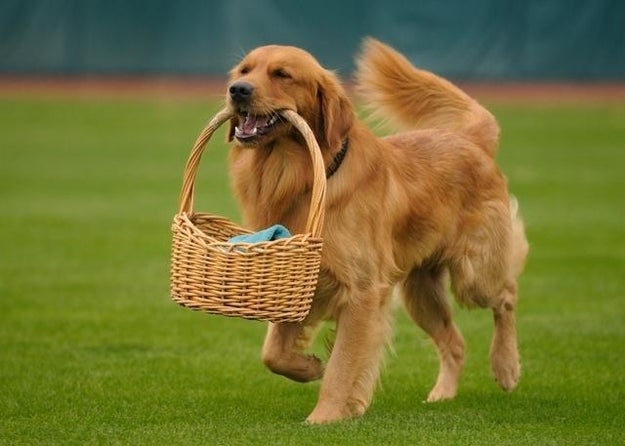 Here's Jake carrying a basket.