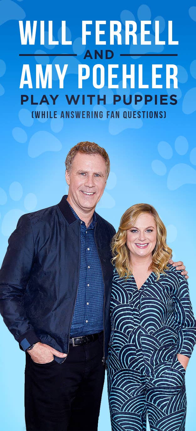 Amy Poehler And Will Ferrell Couldn T Give Us A Serious Answer While We Interviewed Them With Puppies