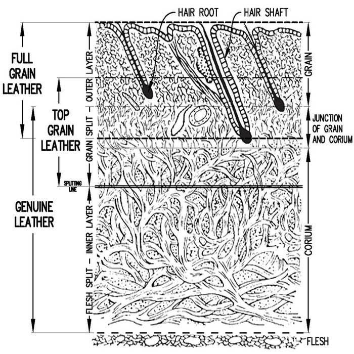 25 Things That Will Blow Your Mind For No Reason At All