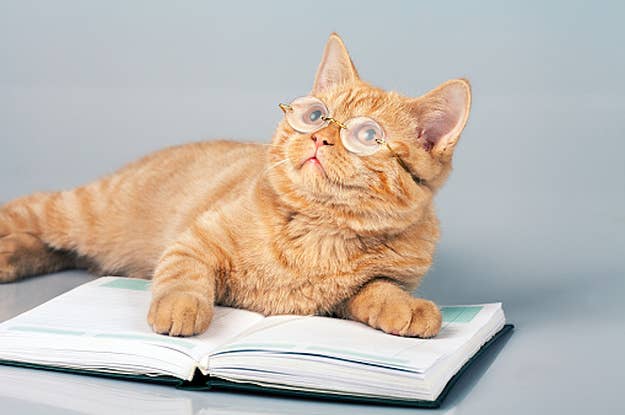 This Synonym And Antonym Quiz Will Seriously Test Your Vocabulary