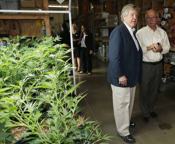 Nevada State Sen. Tick Segerblom (left) tours a grow operations for marijuana, April 2015.